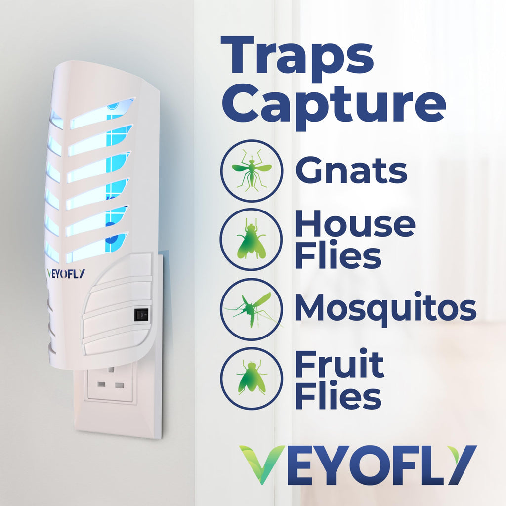 VEYOFLY Indoor Fruit Fly Trap | Plug-in Gnat Killer (2 Devices + 6 Refills)