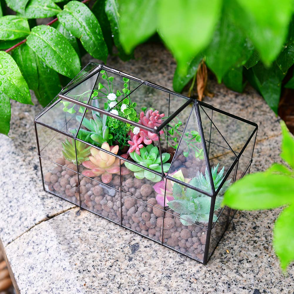 Large Glass Geometric Terrarium – Brass Tabletop Greenhouse