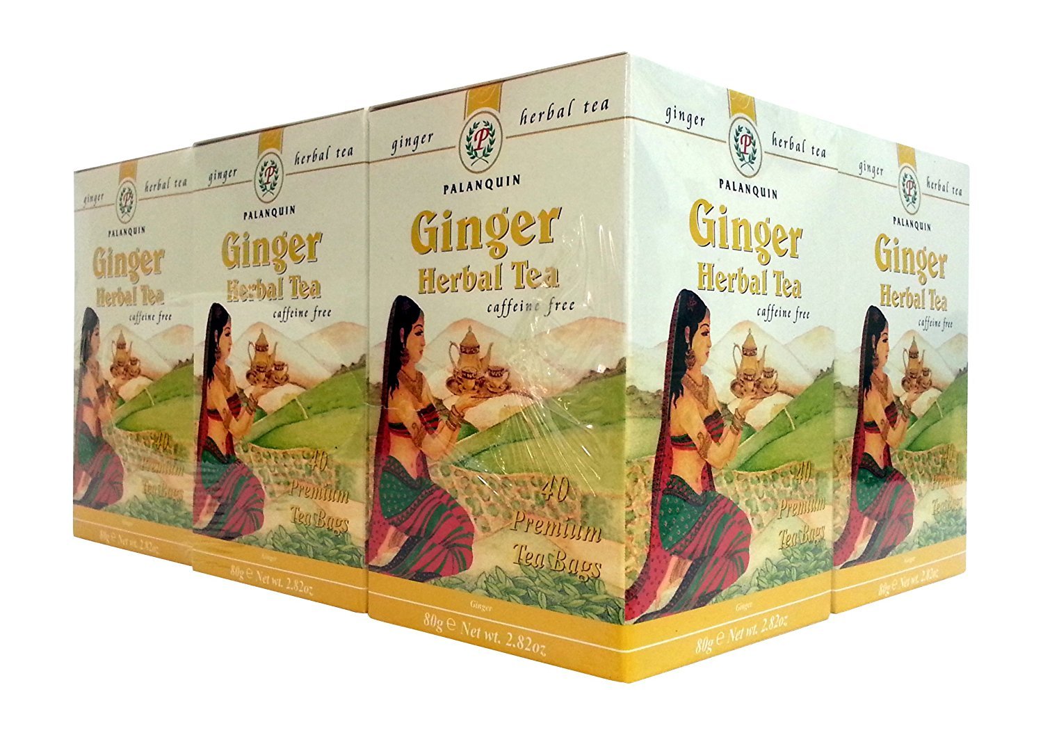 Palanquin Ginger Herbal Tea – Caffeine-Free Digestive Support (6 Boxes)