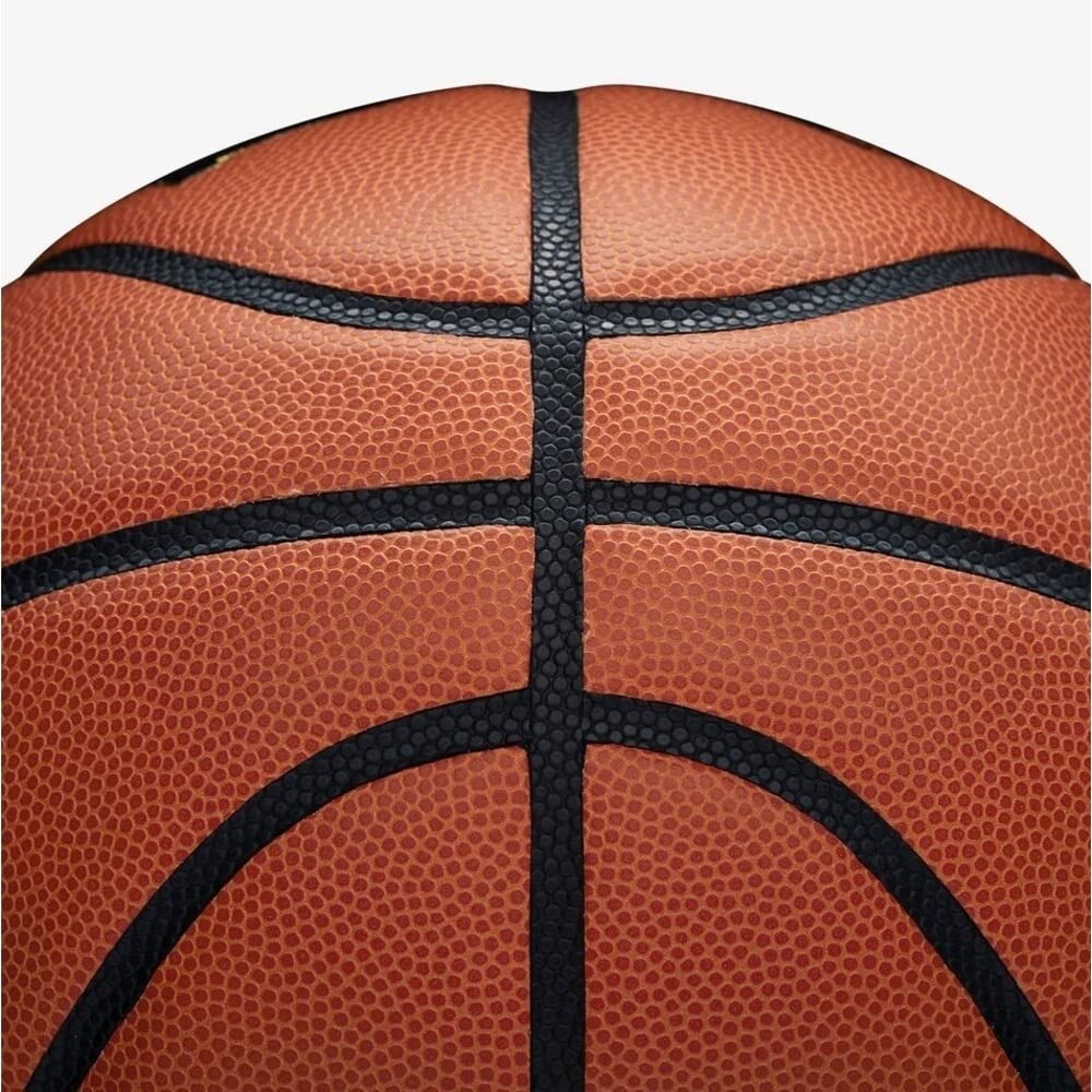 Wilson Evolution Basketball – Official Indoor Game Ball for Pro Play