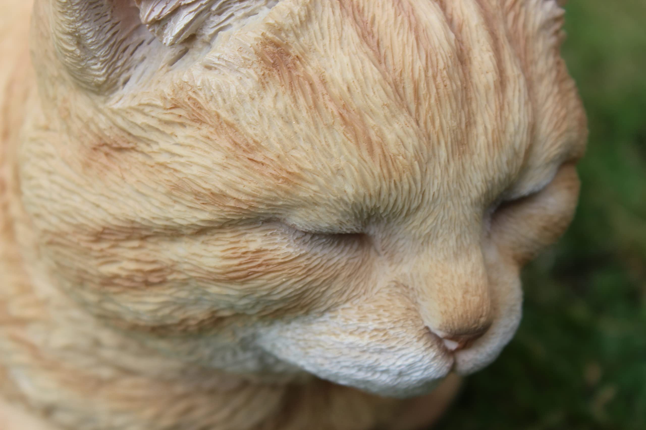 Vivid Arts Ginger Dreaming Cat Resin Ornament | Indoor Outdoor Decor