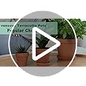 Vensovo 15cm Terra Cotta Plant Pots with Saucers - 4 Pack Clay Planters
