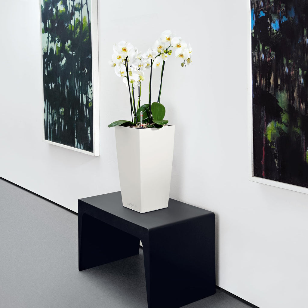 Lechuza CUBICO Color 22 Self-Watering Planter | White Plastic Pot