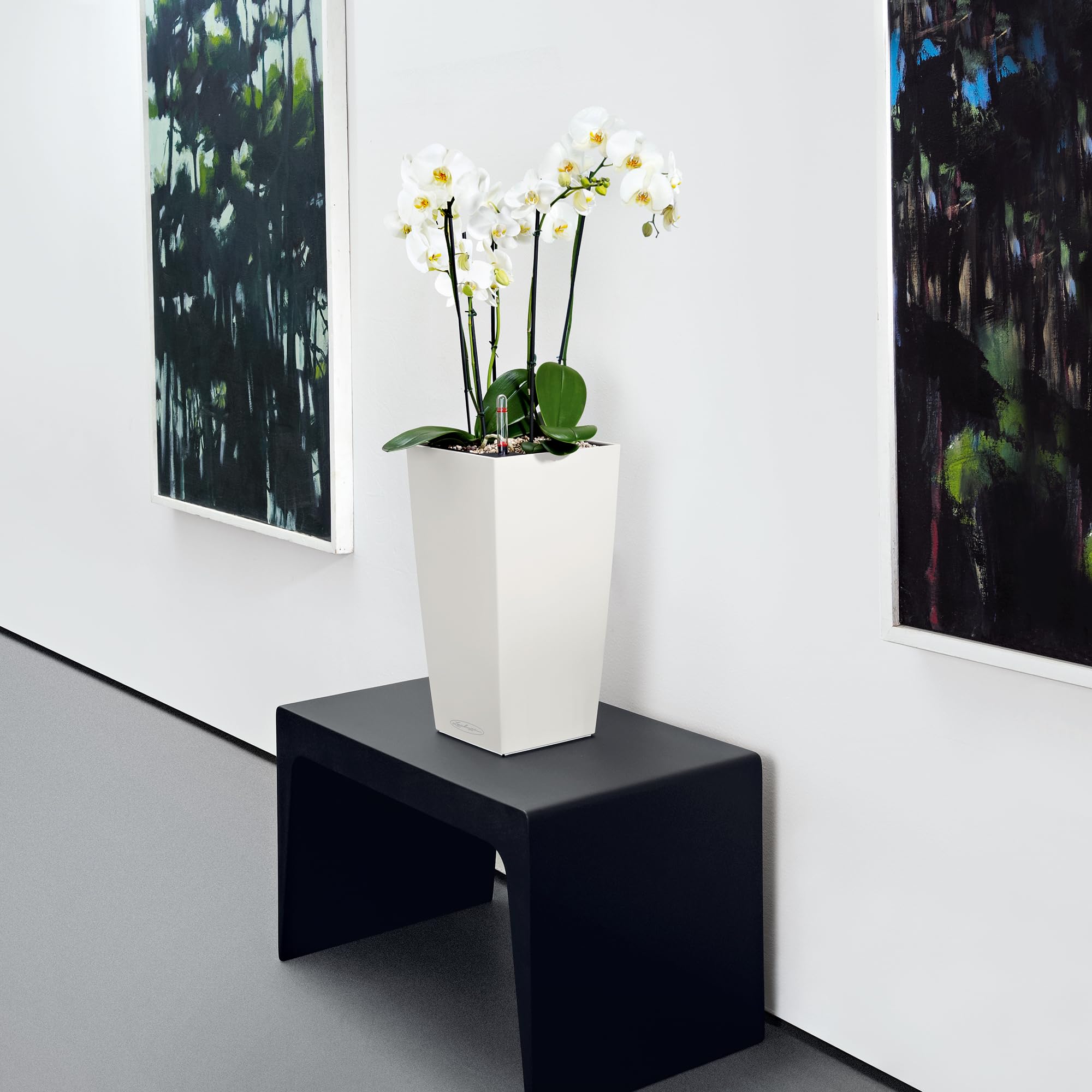 Lechuza CUBICO Color 22 Self-Watering Planter | White Plastic Pot