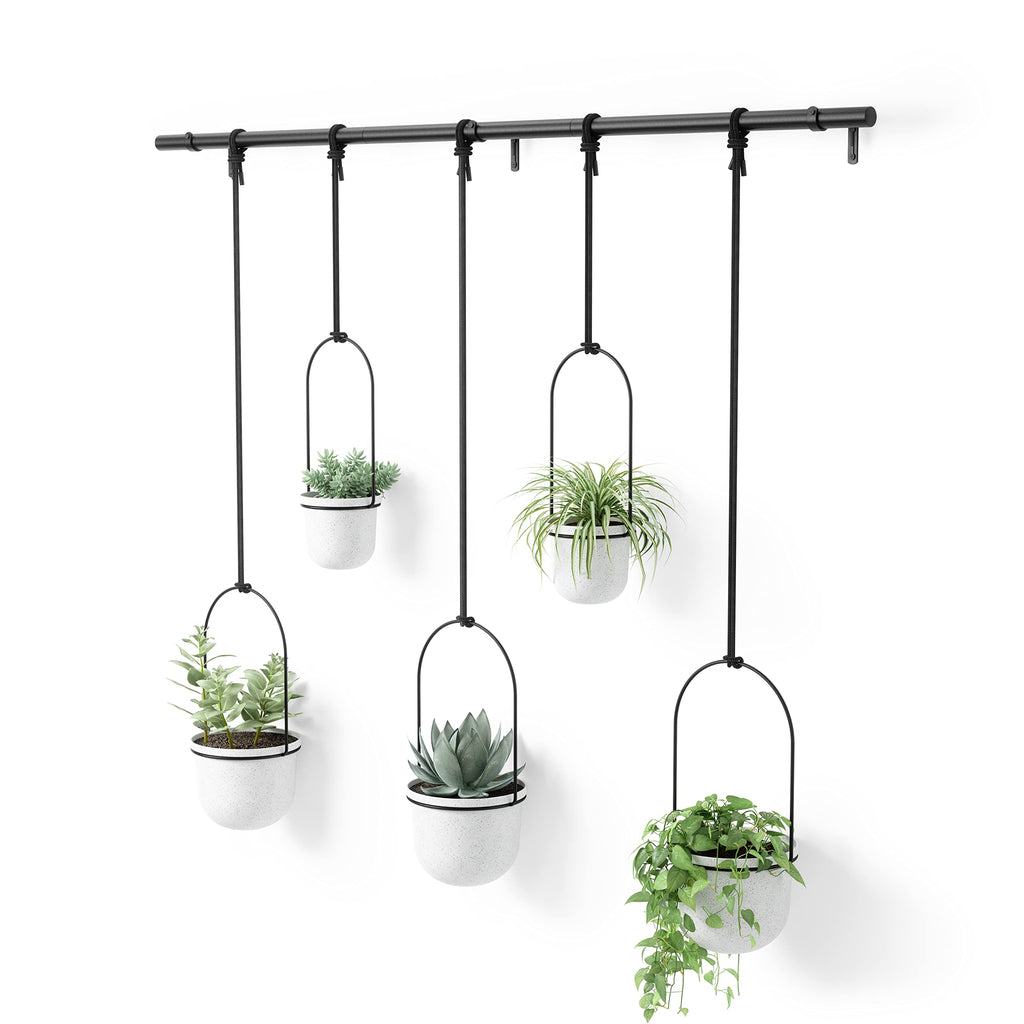 Umbra Triflora Hanging Window Planter – 5 Pots for Herbs & Succulents