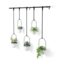 Umbra Triflora Hanging Window Planter – 5 Pots for Herbs & Succulents