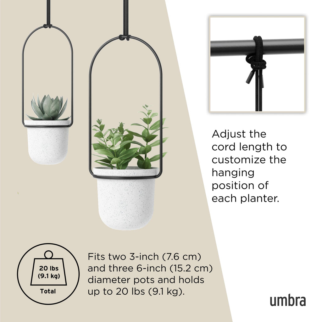 Umbra Triflora Hanging Window Planter – 5 Pots for Herbs & Succulents