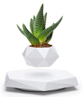 BandD Levitating Plant Pot | Magnetic Floating Planter for Bonsai & Air Plants