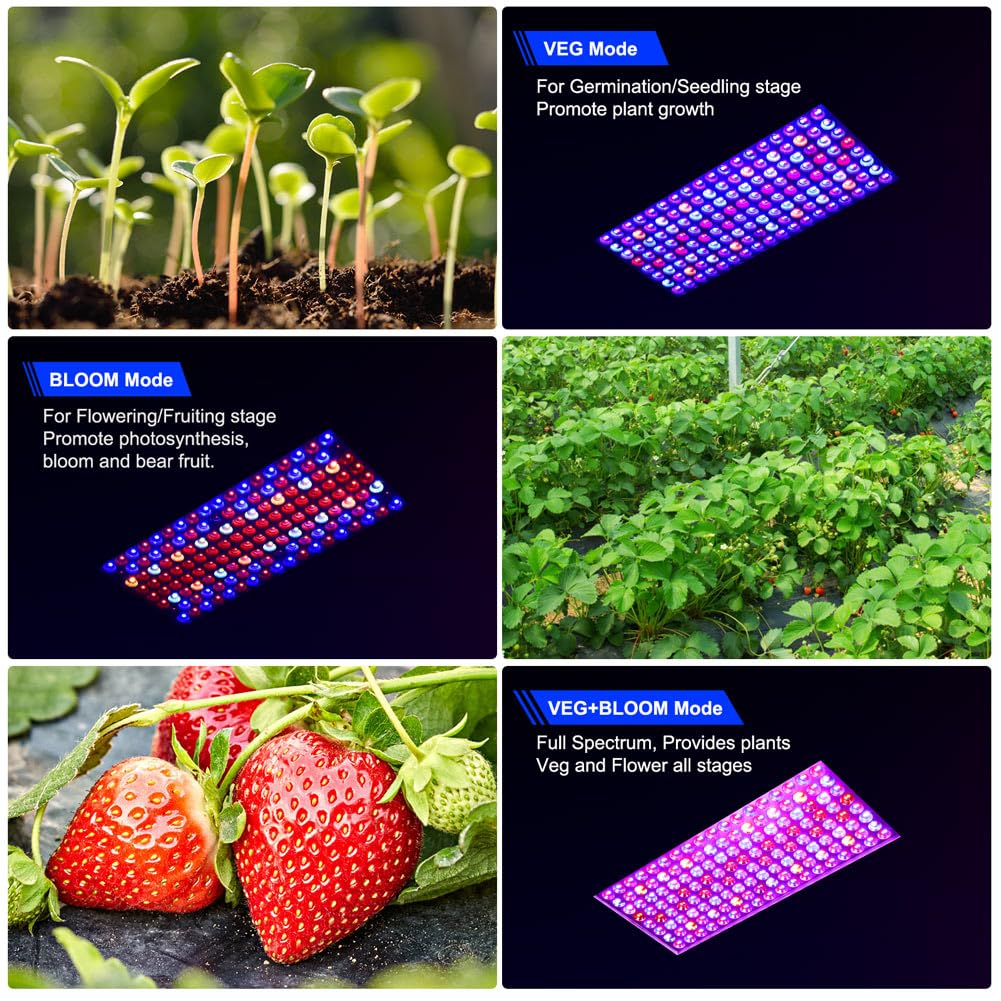 BW2000 LED Grow Lights – Full Spectrum Double Chip 400W HPS