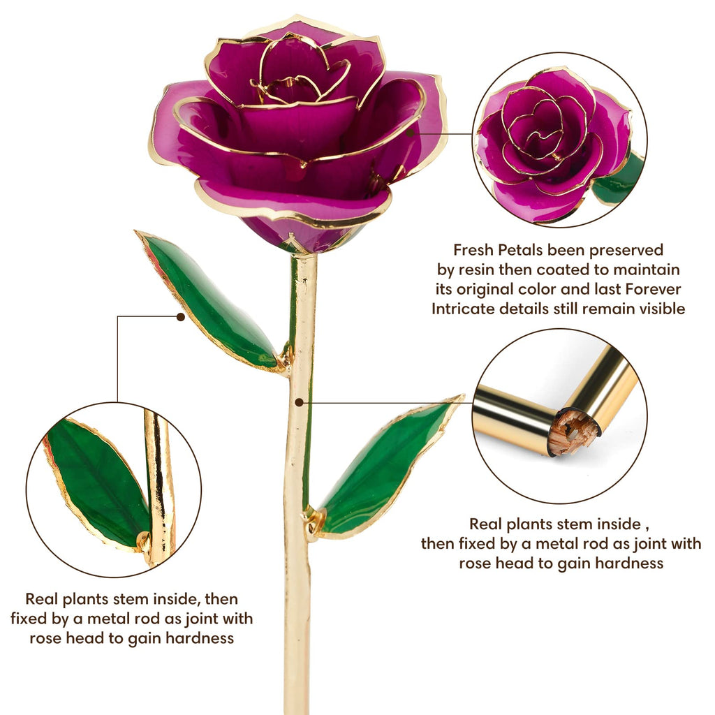 Ariceleo 24K Gold Dipped Preserved Infinity Rose - Blue Resin Flower Decor