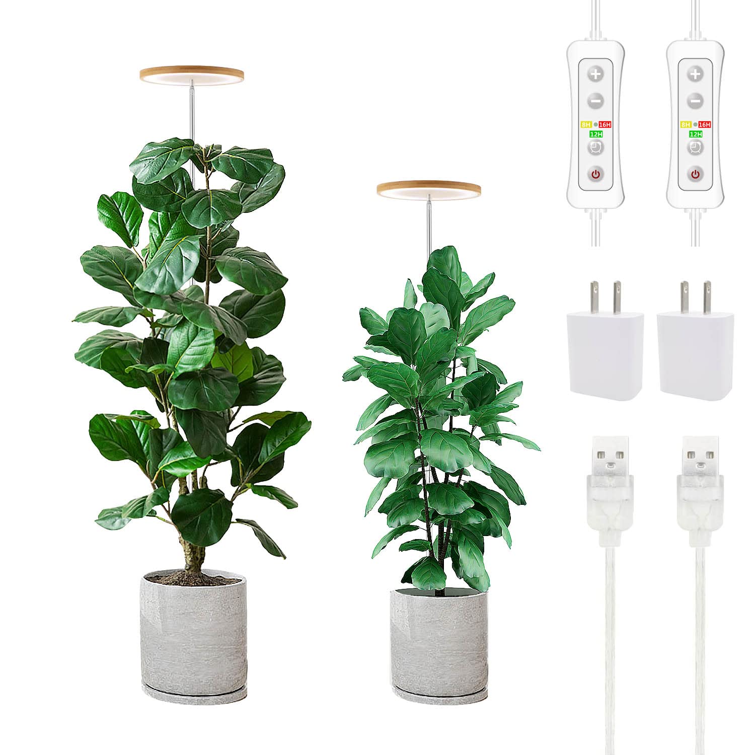 Jolof Store LED Grow Light | Full Spectrum Height Adjustable Plant Lamp