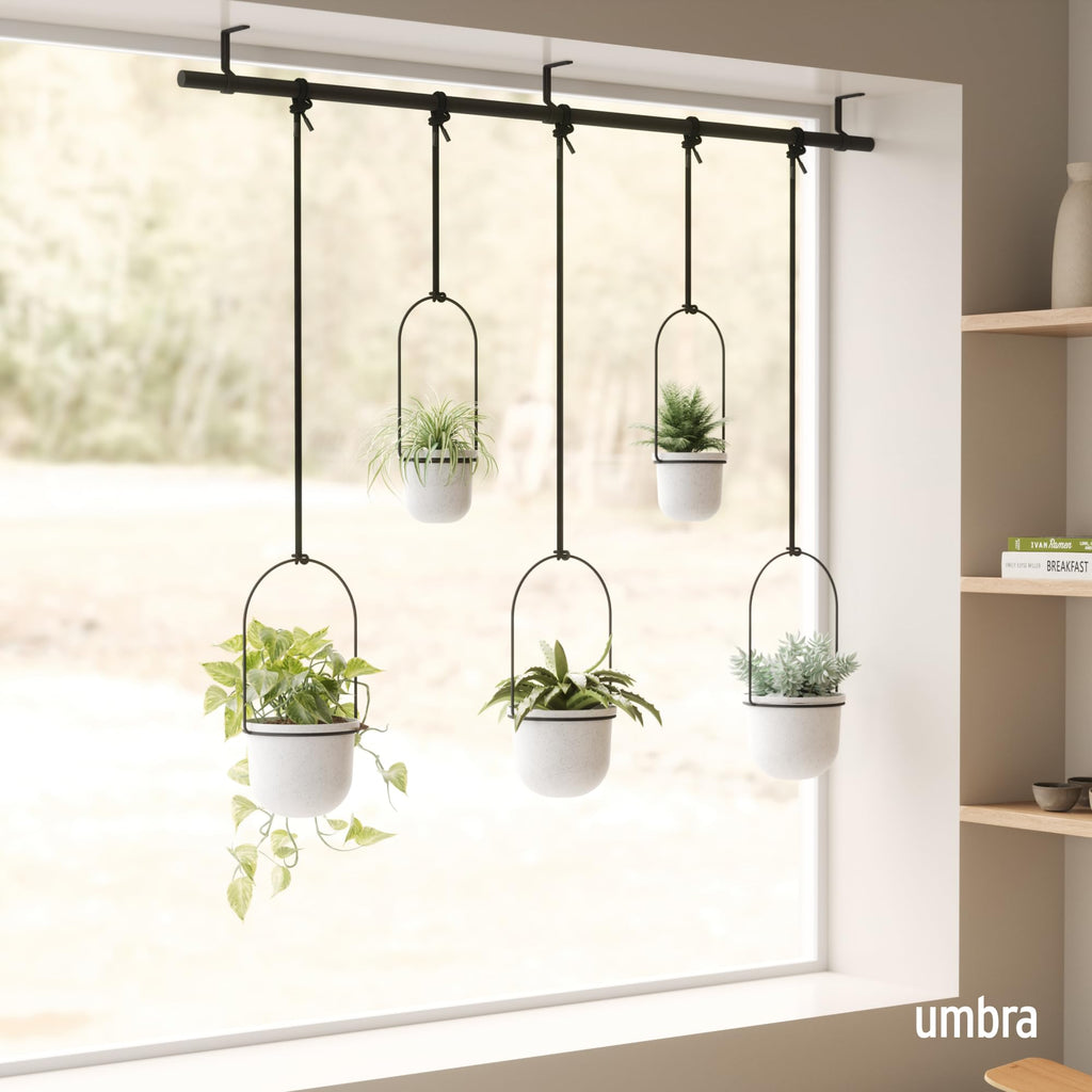 Umbra Triflora Hanging Window Planter – 5 Pots for Herbs & Succulents