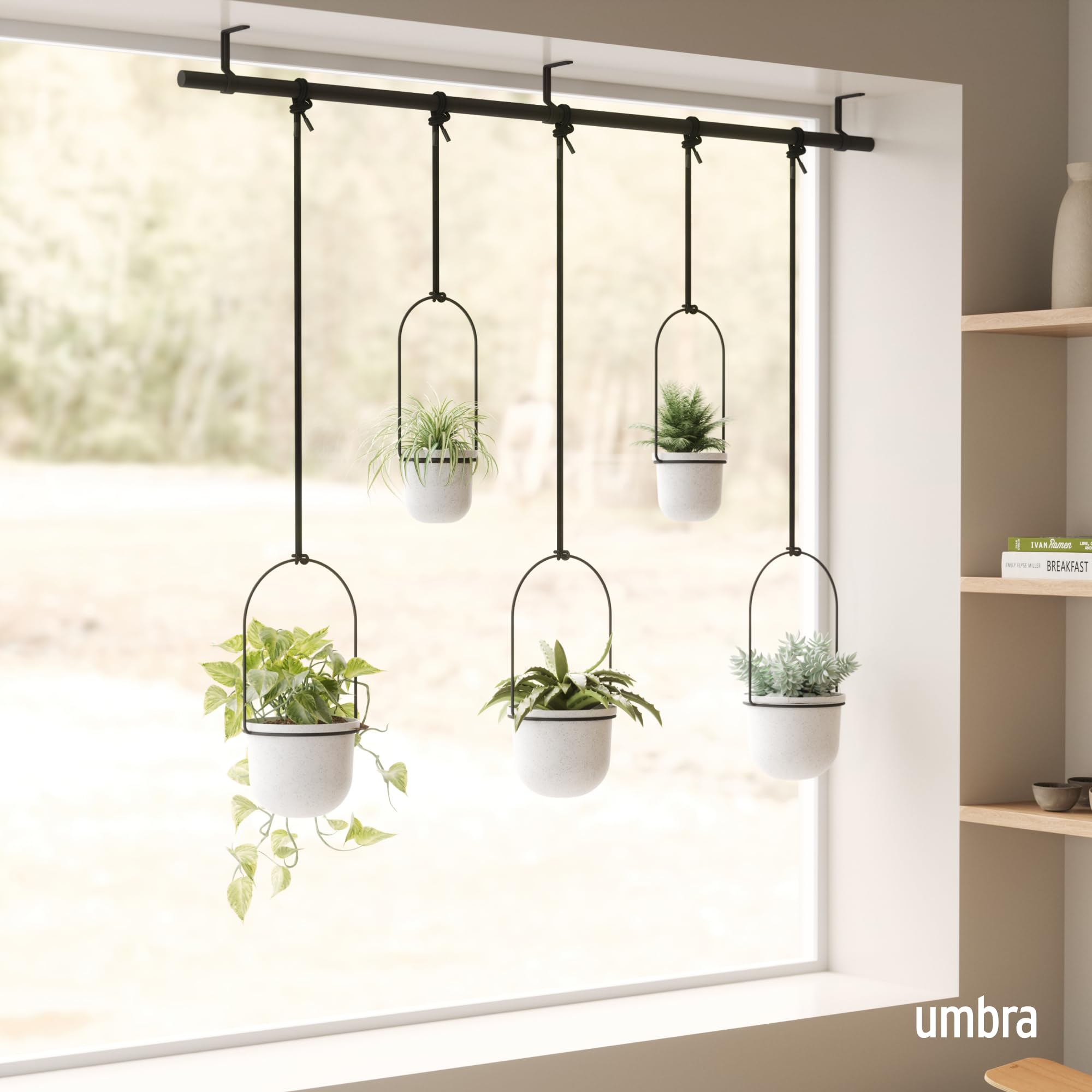 Umbra Triflora Hanging Window Planter – 5 Pots for Herbs & Succulents