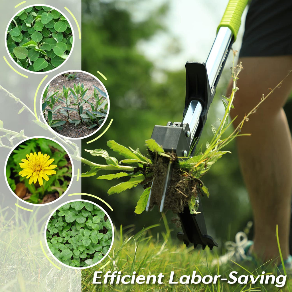 ORIENTOOLS Stand Up Weed Puller – 4-Claw Stainless Steel Garden Weeder