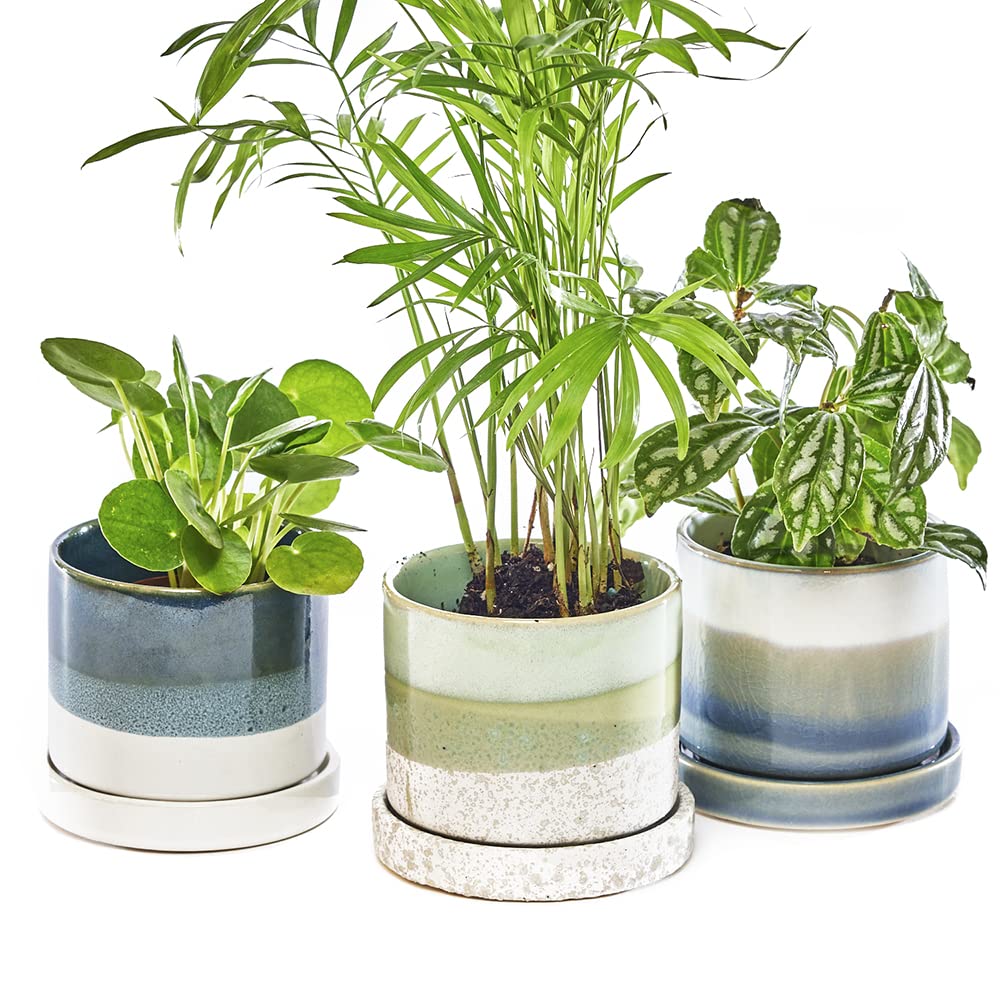 Chive Minute Ceramic Succulent Pots with Drainage - Set of 3 Blue & Green