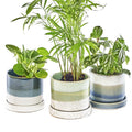 Chive Minute Ceramic Succulent Pots with Drainage - Set of 3 Blue & Green