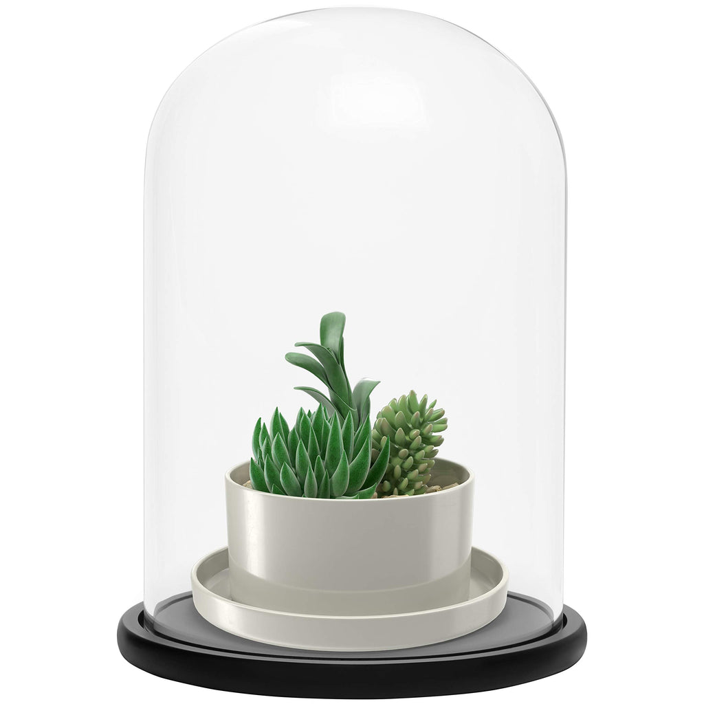 Belle Vous Glass Dome Cloche Bell Jar with Black Wooden Base - 30cm