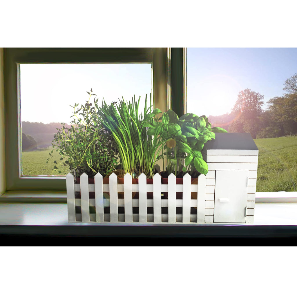 Oliphant Indoor Allotment Herb Garden Gift Set - Wooden Windowsill Kit