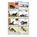 Samuel Lamont It's a Dogs Life Cotton Tea Towel | British Kitchen Decor