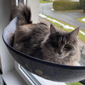 Aoresac Cat Window Hammock – Large Felt Perch & Sunny Seat for Cats