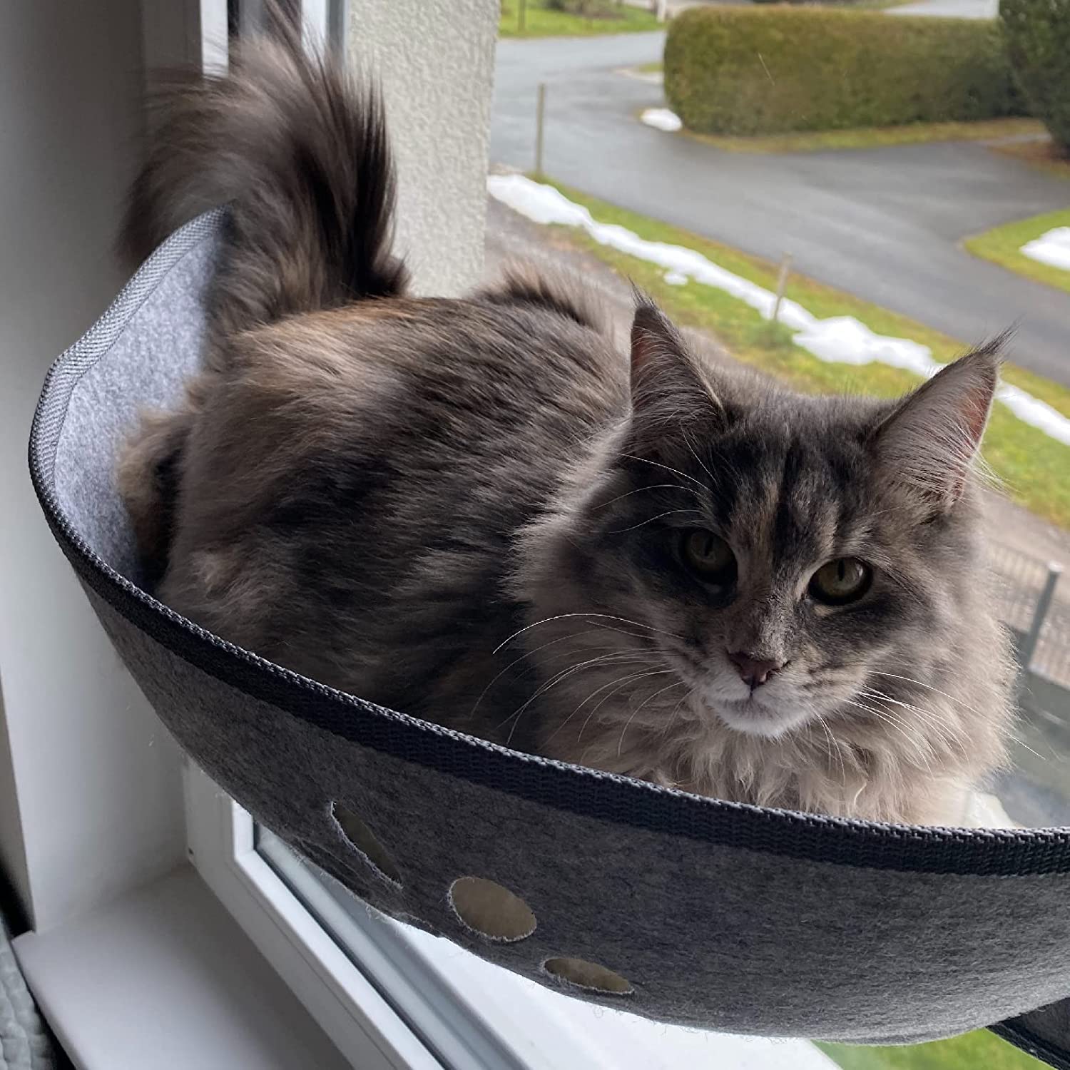 Aoresac Cat Window Hammock – Large Felt Perch & Sunny Seat for Cats