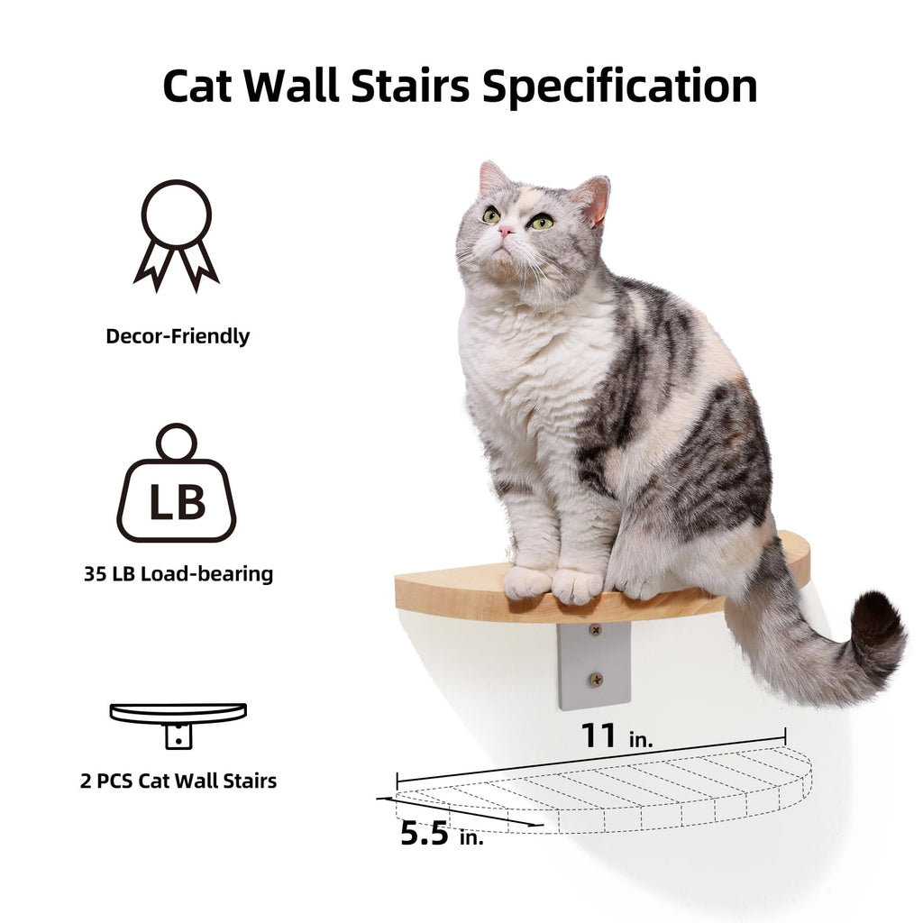 FUKUMARU Cat Wall Furniture Set - Rubber Wood Shelf with Clear Capsule