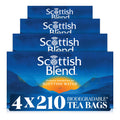 Scottish Blend Black Tea Bags | Plant-Based Biodegradable | 840 Count