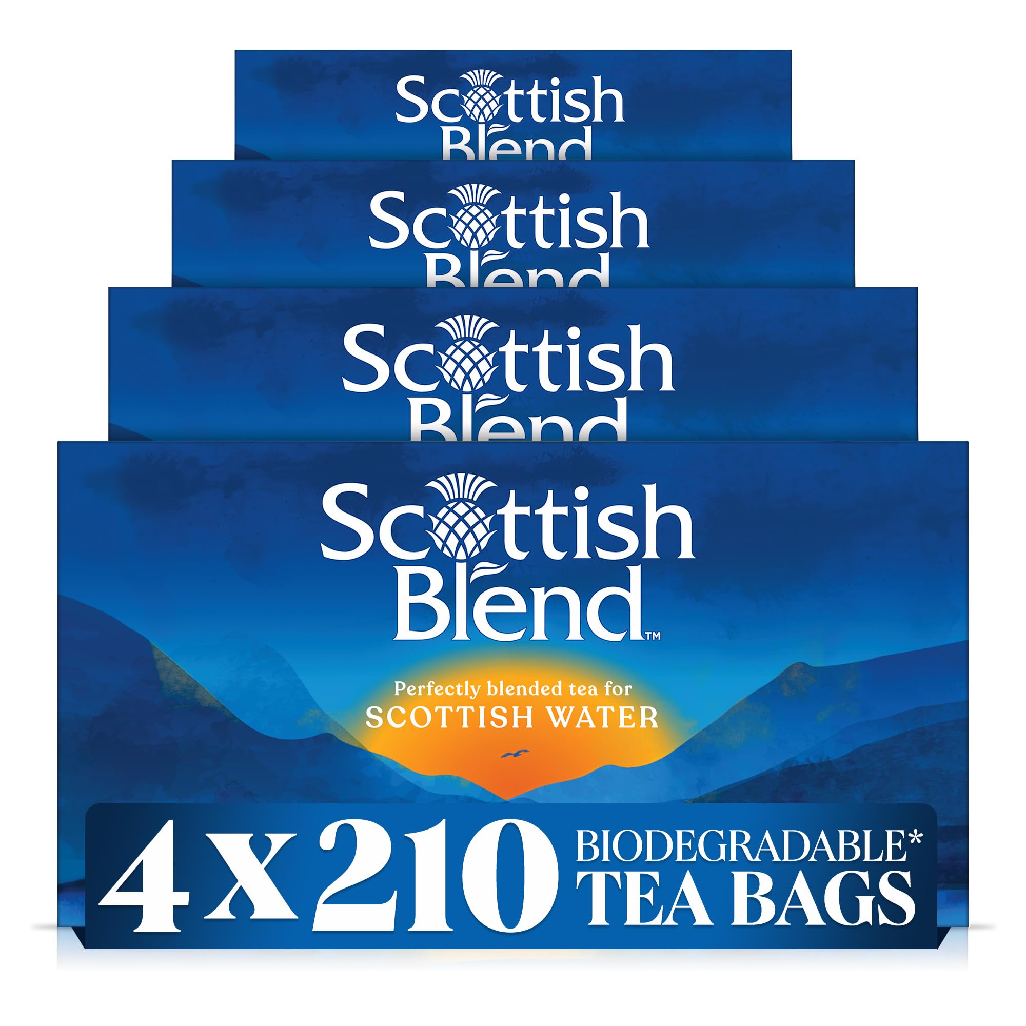 Scottish Blend Black Tea Bags | Plant-Based Biodegradable | 840 Count