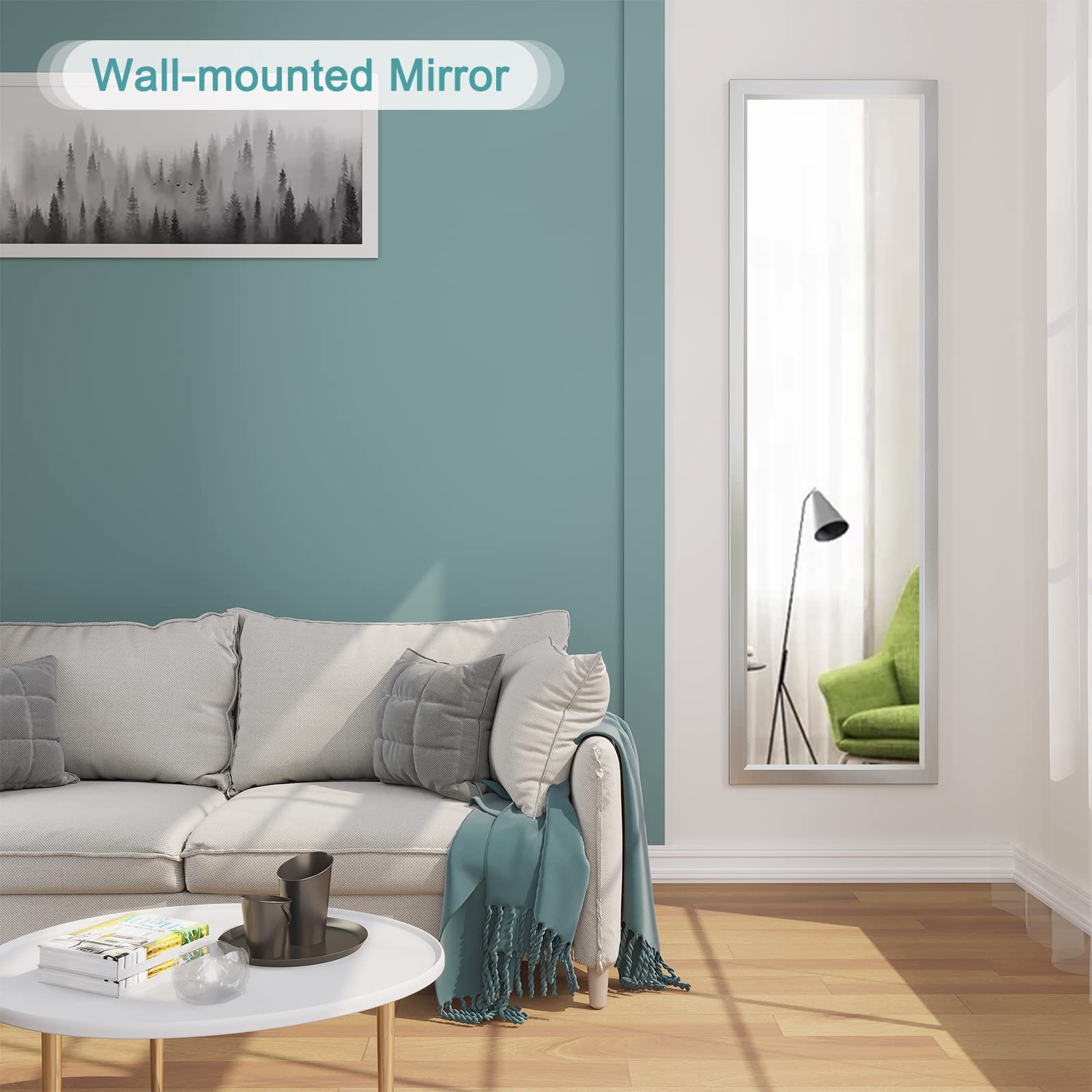 Dripex Full Length Over Door Mirror | 110x33cm Toughened Glass Silver