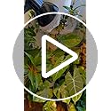SANSI 36W LED Grow Light Bulb | Full Spectrum E27 Ceramic Plant Light