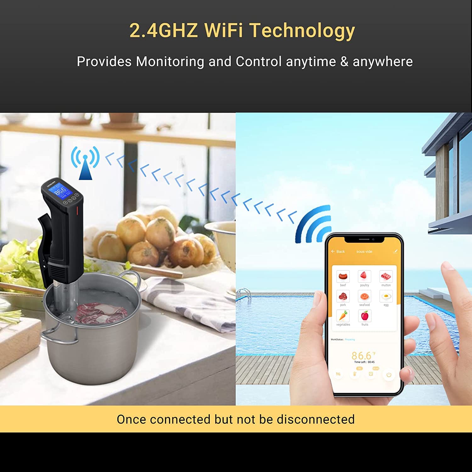Inkbird ISV-100W Sous Vide WiFi Immersion Circulator | 1000W Precision Cooker