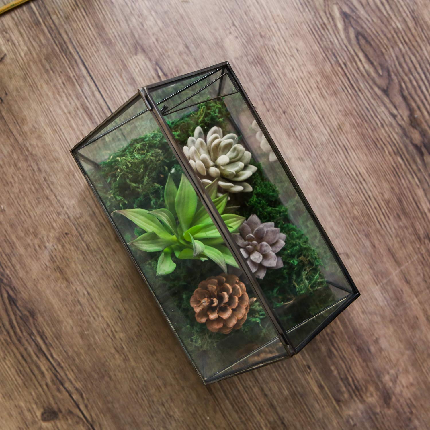 WONSUN House Shape Glass Geometric Terrarium – Black Tabletop Planter