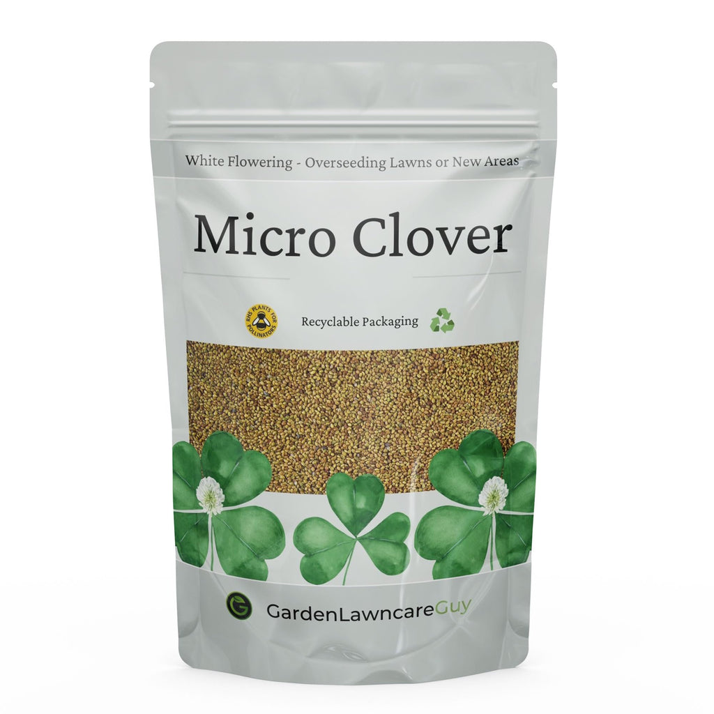 Micro Clover Seed - 100% Small Leaf White Clover - 1kg