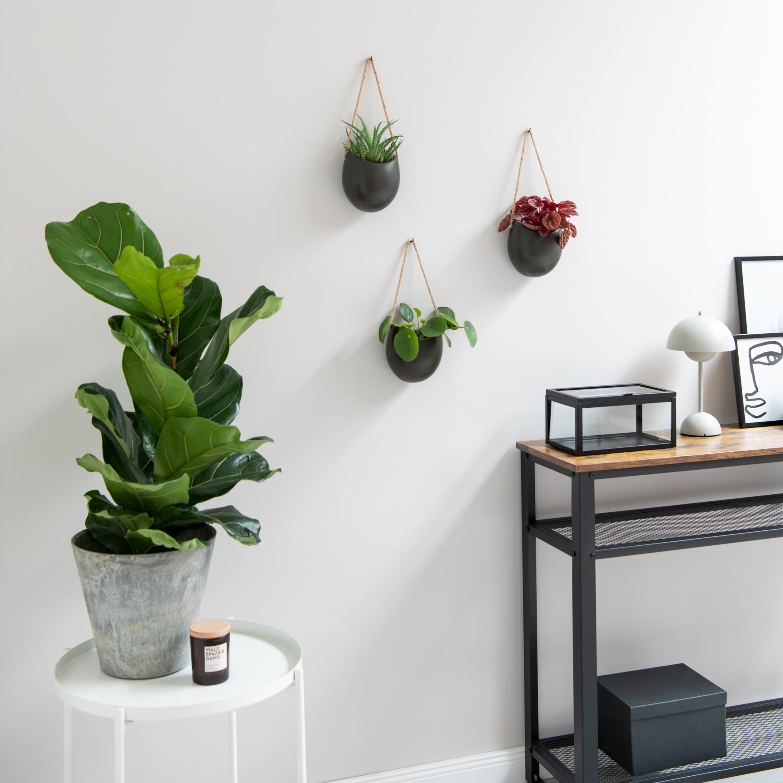 Kazai Ellie Hanging Ceramic Wall Planters – 3 Piece Set for Succulents