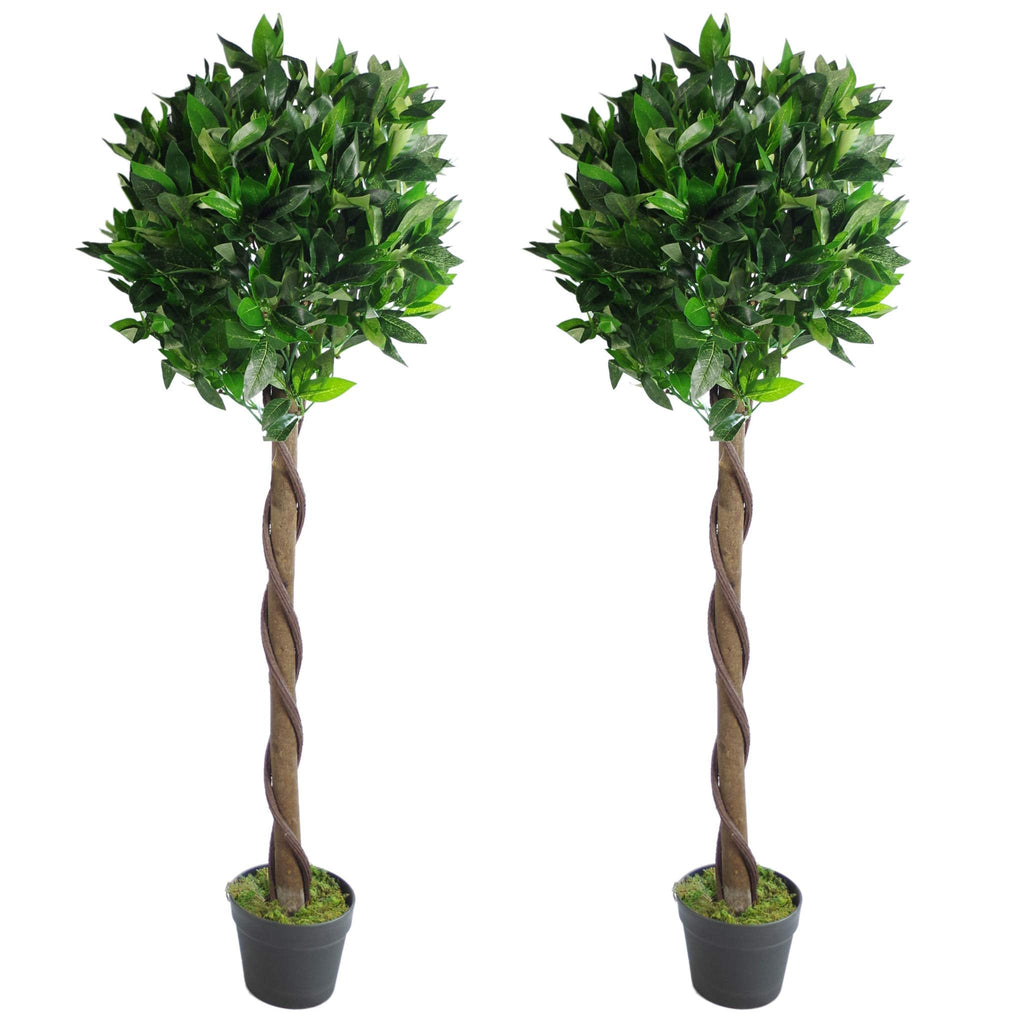 Leaf Pair of Artificial Bay Laurel Ball Trees, Green Twist, 120cm (4ft)