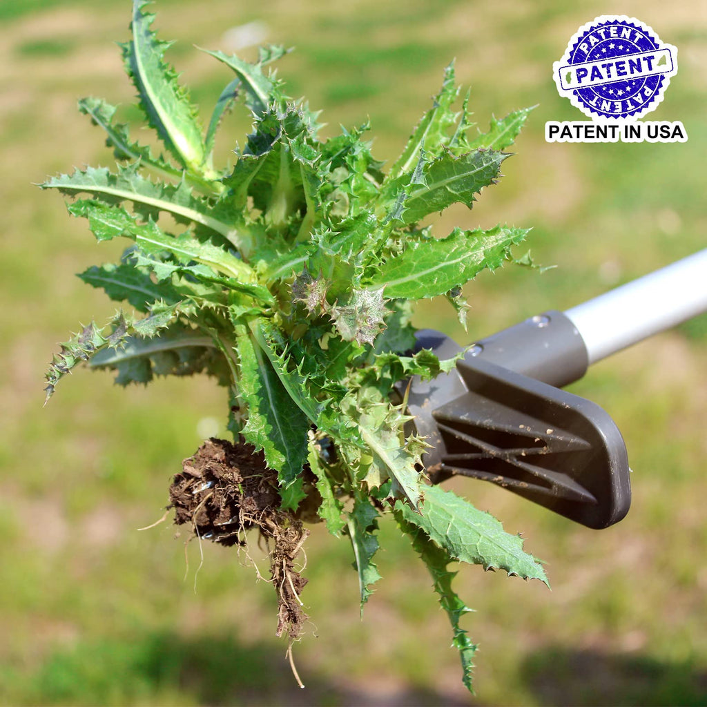 Walensee Stand Up Weed Puller - 5-Claw Long Handle Garden Weeding Tool