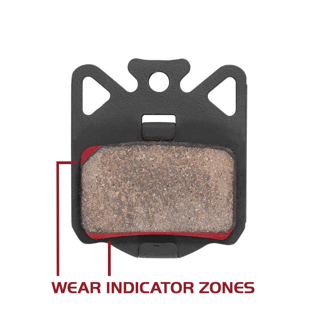 Campagnolo Organic Disc Brake Pads and Pin Set | Quiet Resin Compound