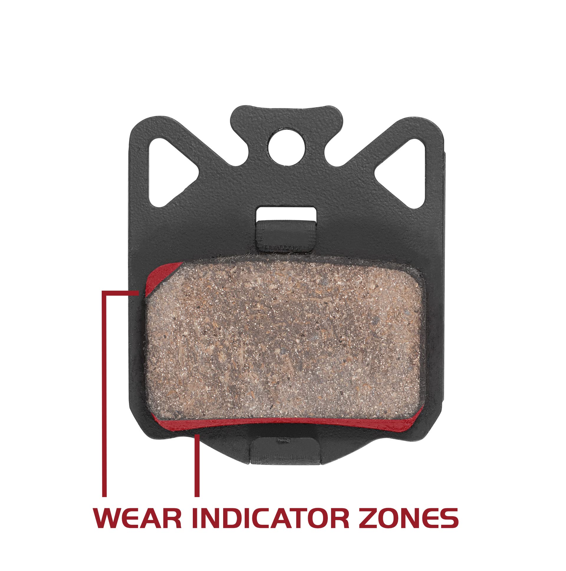 Campagnolo Organic Disc Brake Pads and Pin Set | Quiet Resin Compound