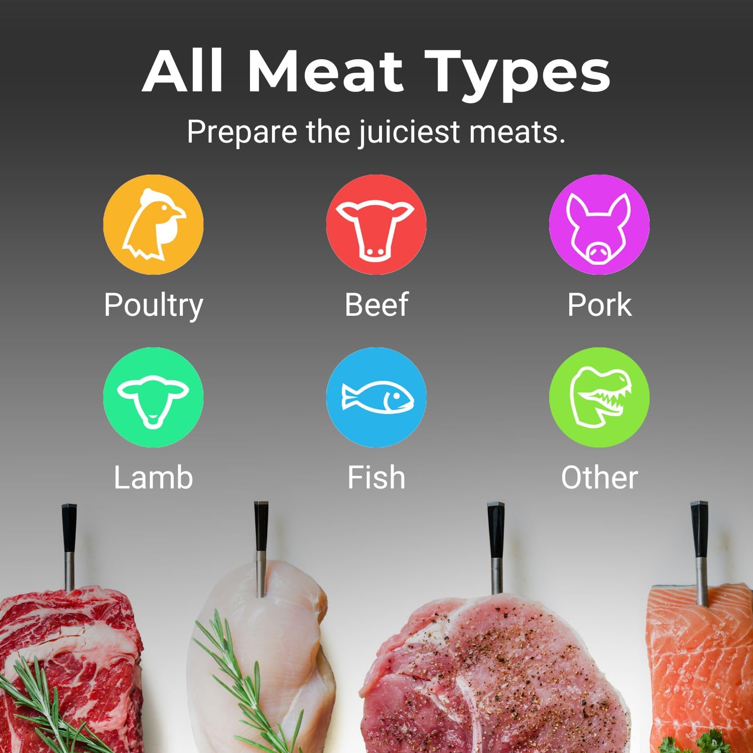 MEATER SE Smart Wireless Meat Thermometer | Bluetooth Digital Grill Probe