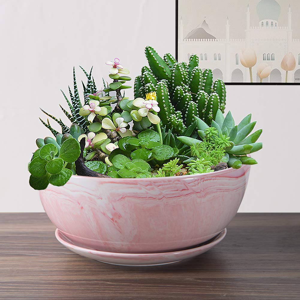 EPGardening 10-Inch Marble Ceramic Succulent Planter Pot with Tray