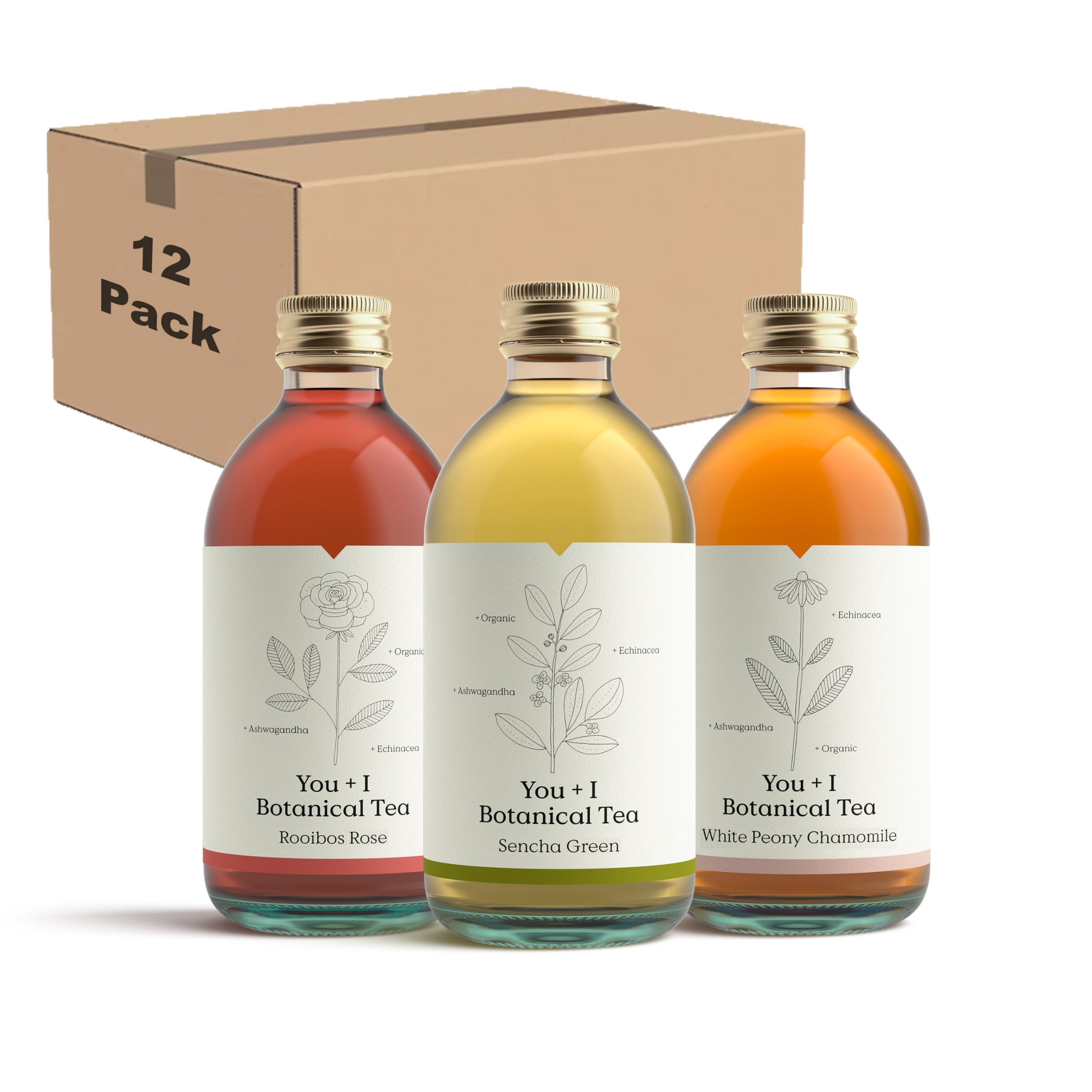 You + I Botanical Organic Iced Tea Variety Pack - 12 x 330ml Cans