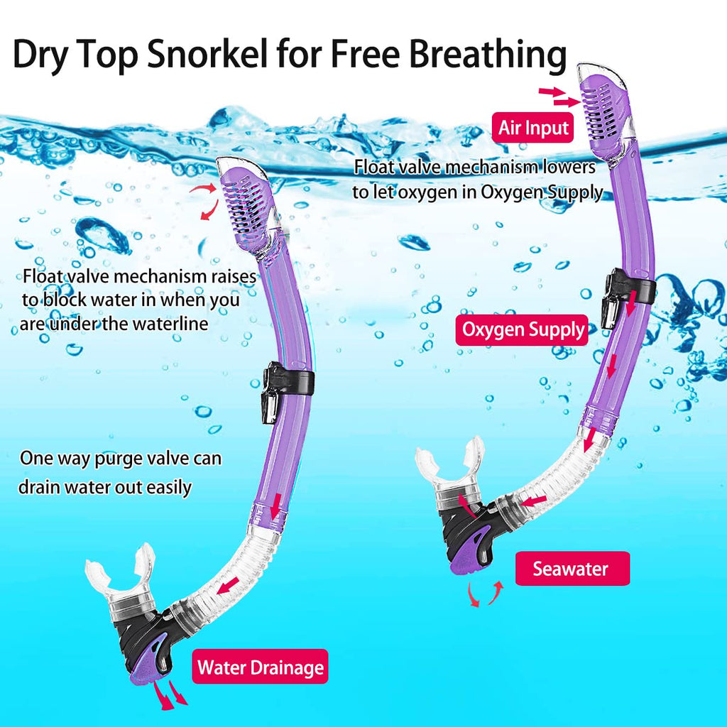 Adult Snorkeling Gear Set | Anti-Fog Mask, Dry Snorkel & Fins
