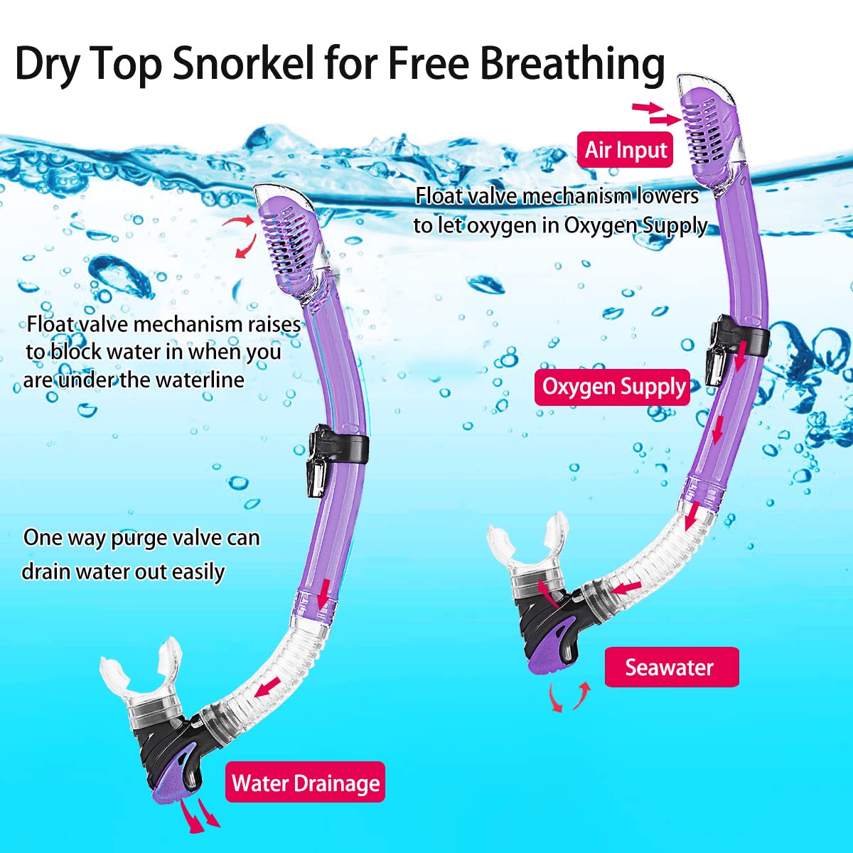 Adult Snorkeling Gear Set | Anti-Fog Mask, Dry Snorkel & Fins