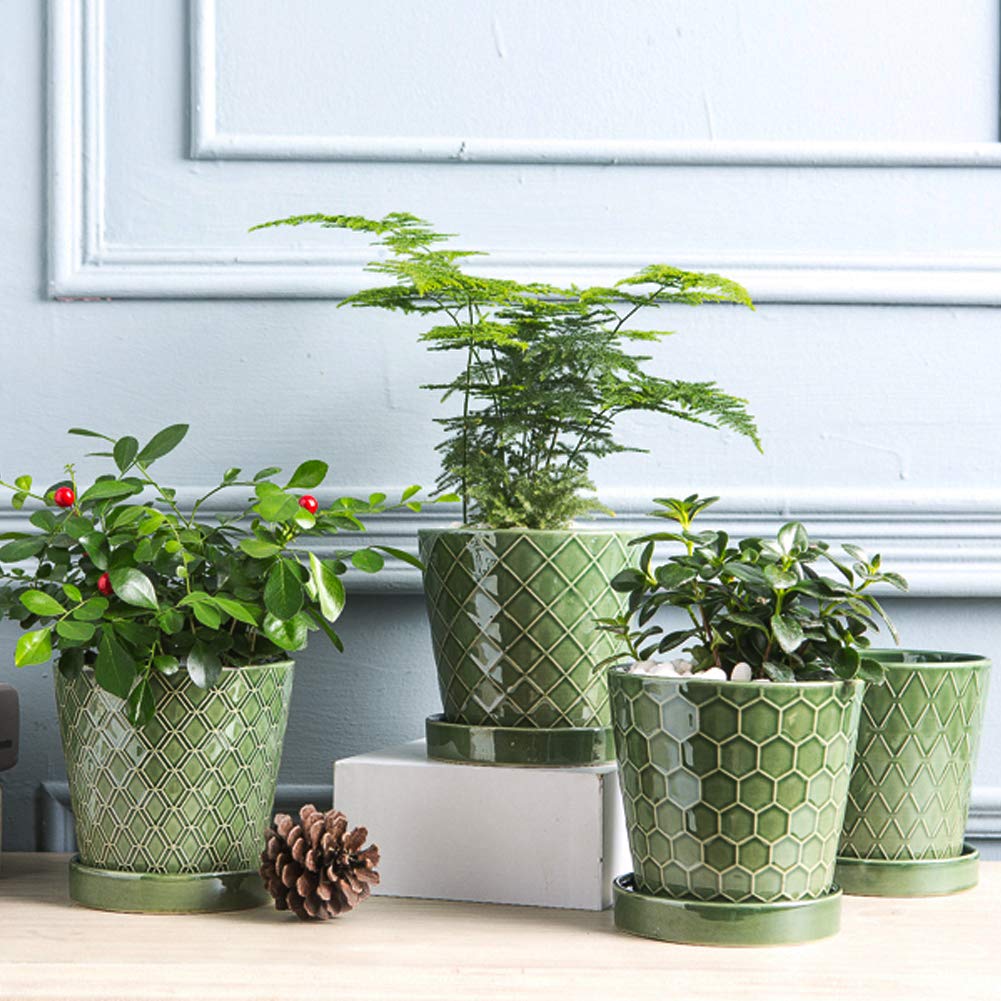 Jolof Store 5-Inch Ceramic Plant Pots with Drainage Hole and Tray – 4 Pack