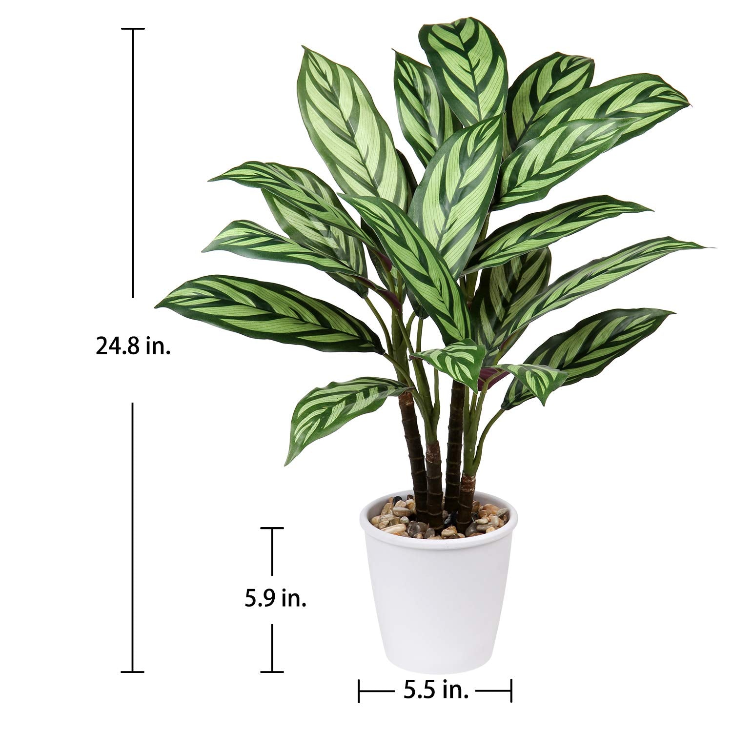 Briful 24.8" Artificial Calathea Majestica Exotica Plant in Ceramic Pot