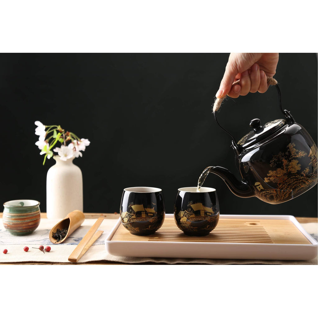 Dujust Japanese Tea Set - Black Porcelain Teapot with 6 Cups and Tray
