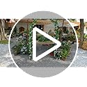 SCENDOR Wrought Iron Garden Arch – 87" Heavy Duty Trellis for Climbing Plants