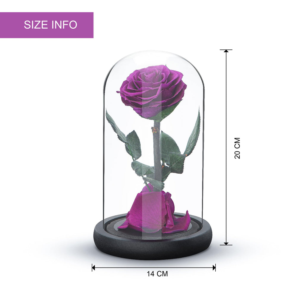 Preserved Eternal Rose – Handcrafted Single Flower in Glass Dome