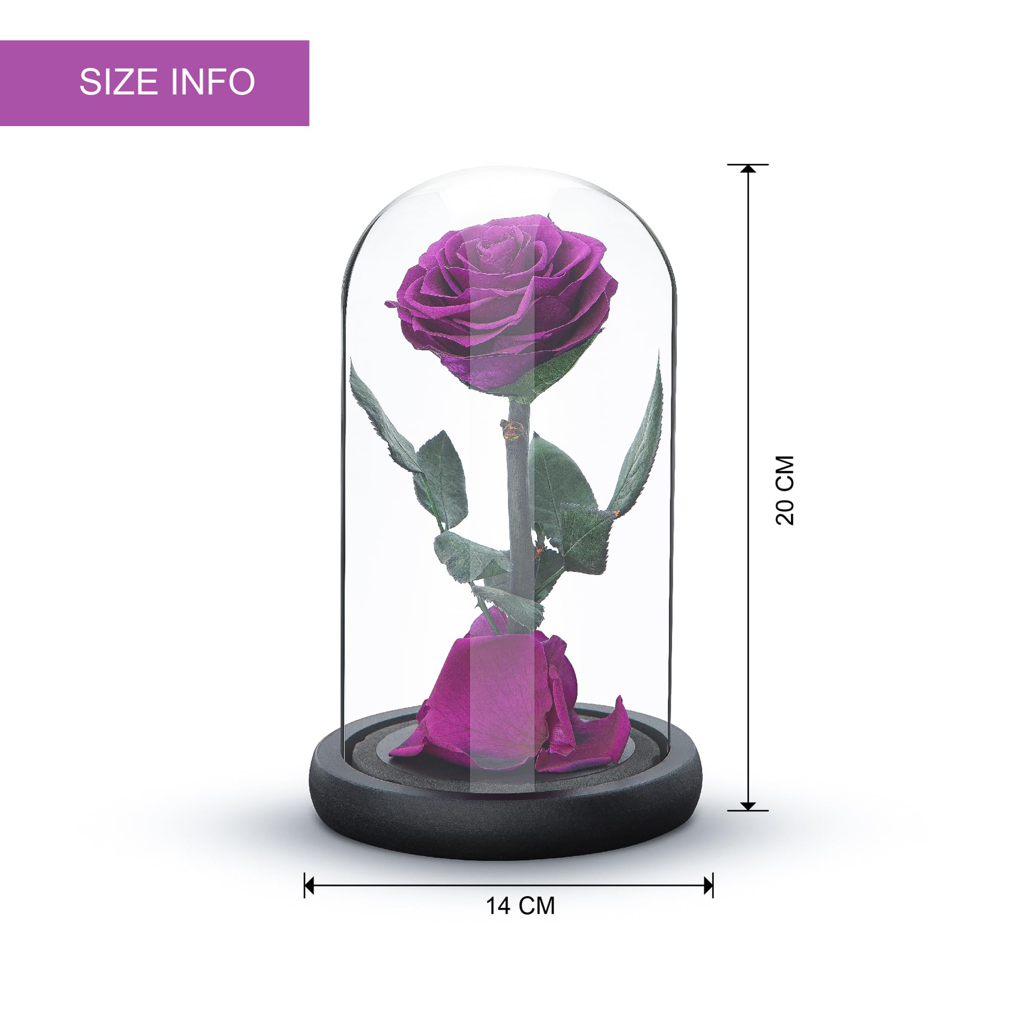 Preserved Eternal Rose – Handcrafted Single Flower in Glass Dome