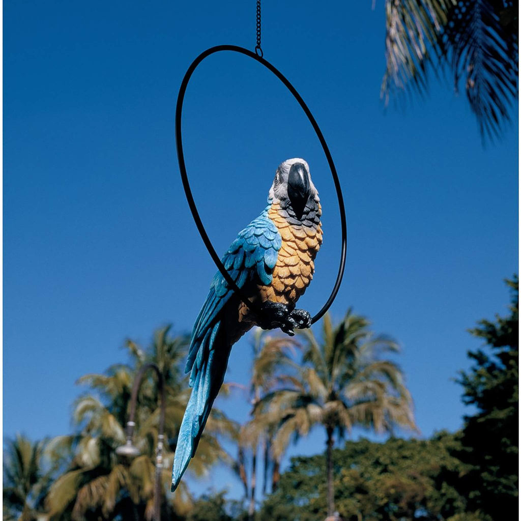 Design Toscano Polly Parrot Hanging Bird Ring Perch Statue - 53cm